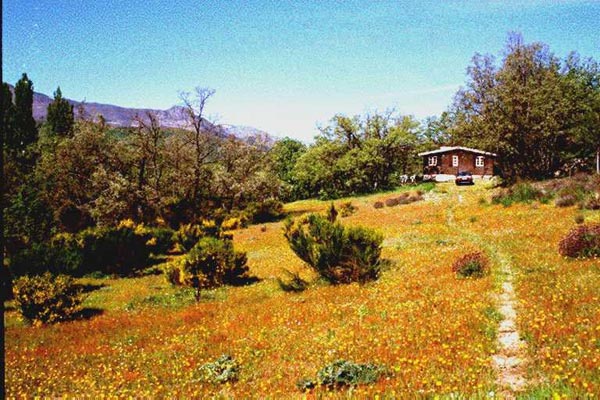 Casa rural Los Enebros